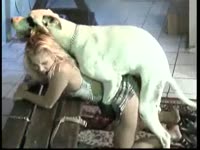 Filthy coed amateur getting her wet cunt banged by horny K9 in this exciting zoo sex footage